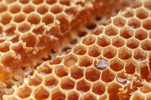 Why Head Chefs Are Turning to This Organic Oak Honey