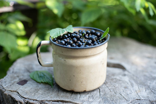 8 Science-Backed Health Benefits of Blackcurrant