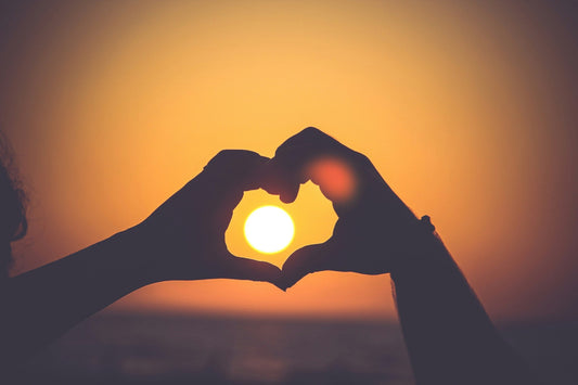 What Bees Can Teach Us About Love