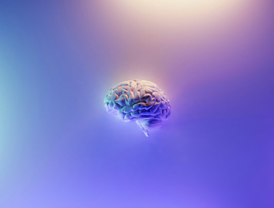 How Honey and Blackcurrant Can Improve Brain Function