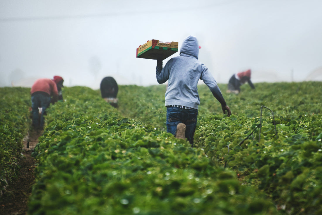 Benefits of Farming