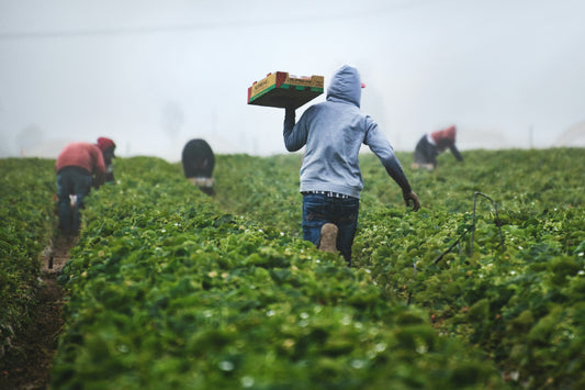 Benefits of Farming