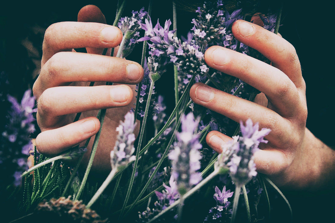 Transformative Benefits of Tyrosine in Lavender Honey