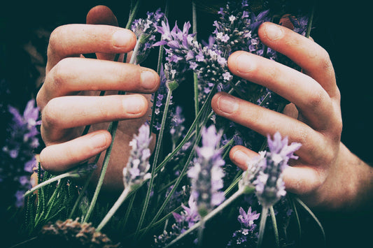 Transformative Benefits of Tyrosine in Lavender Honey