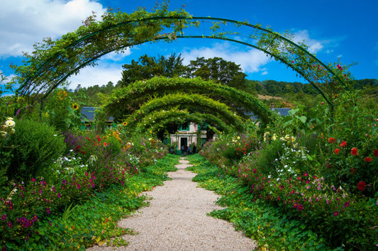 How to Build a Bee-Friendly Garden (It’s Easier Than You Think)