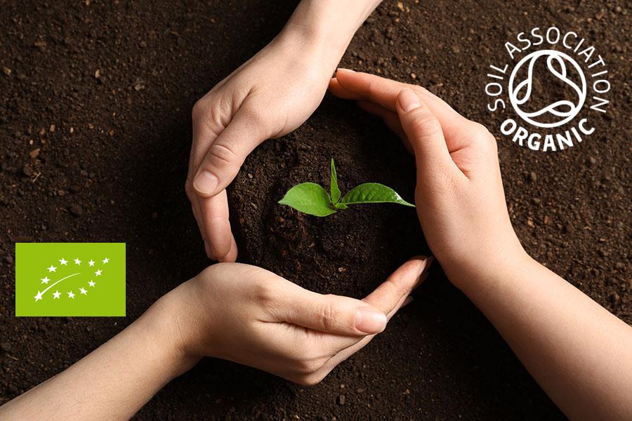 Ultimate Organic Experience