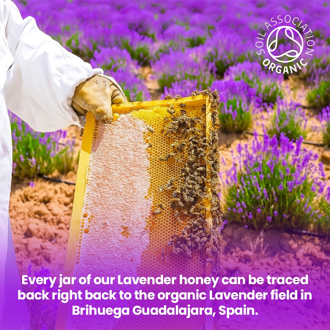 Organic Lavender Honey 240g