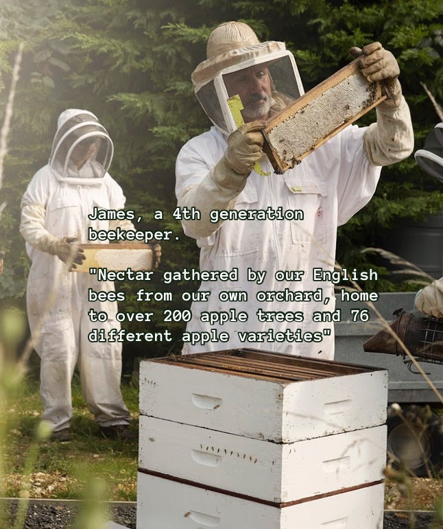British Apple Orchard Honey 240g