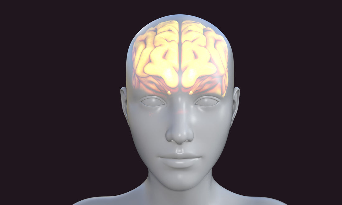 Is honey and cinnamon good for the brain