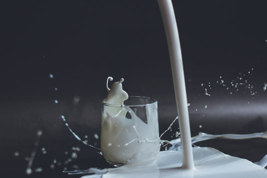 The Comforting Benefits of Honey and Milk