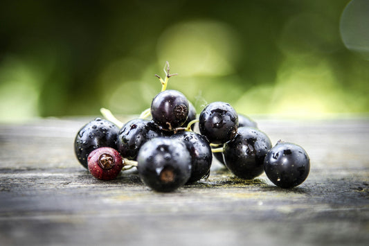 blackcurrants