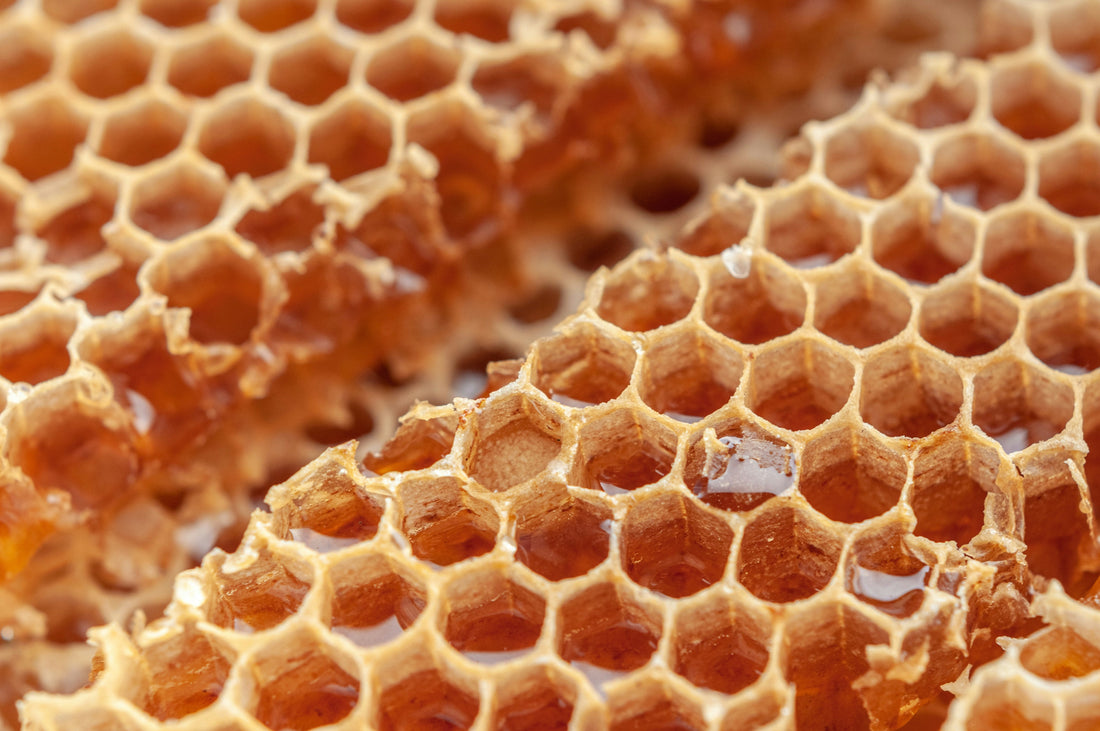 Why Head Chefs Are Turning to This Organic Oak Honey