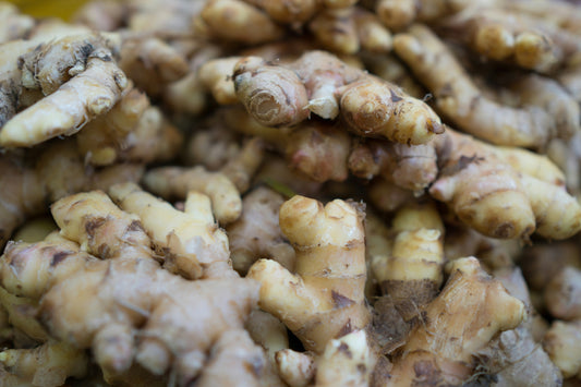 Historical Background of Ginger