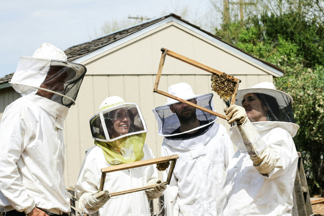 four beekeepers in white Beekeeping suits