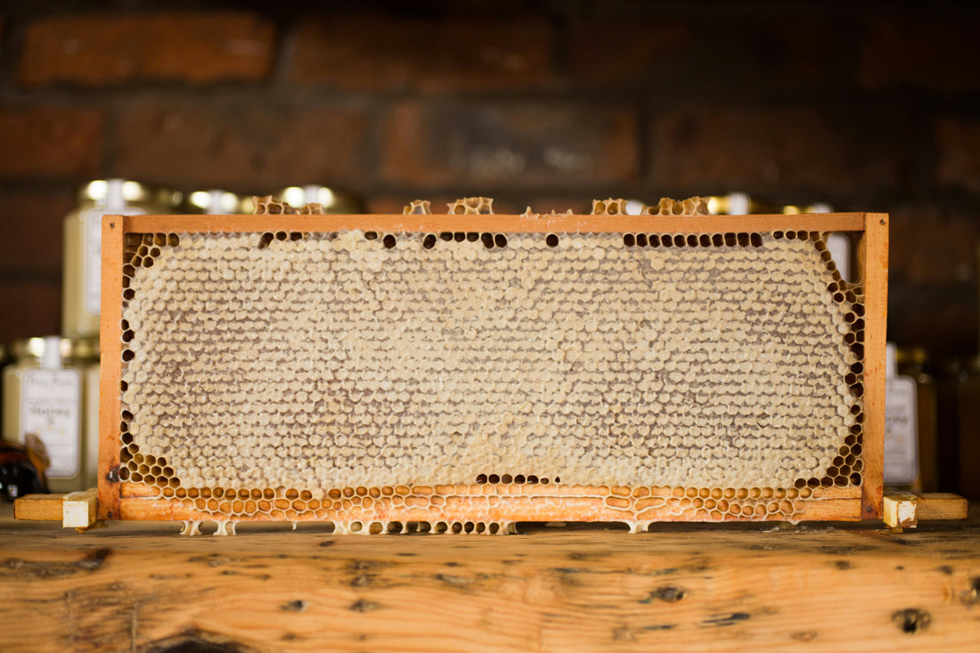 5 Easy Ways to Use Honeycomb
