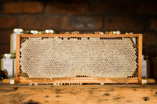 5 Easy Ways to Use Honeycomb