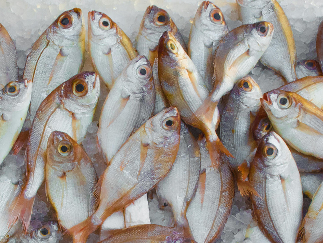 The Dirty Truth: 6 Everyday Foods You’re Probably Eating Fake