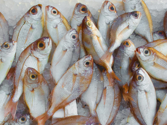 The Dirty Truth: 6 Everyday Foods You’re Probably Eating Fake