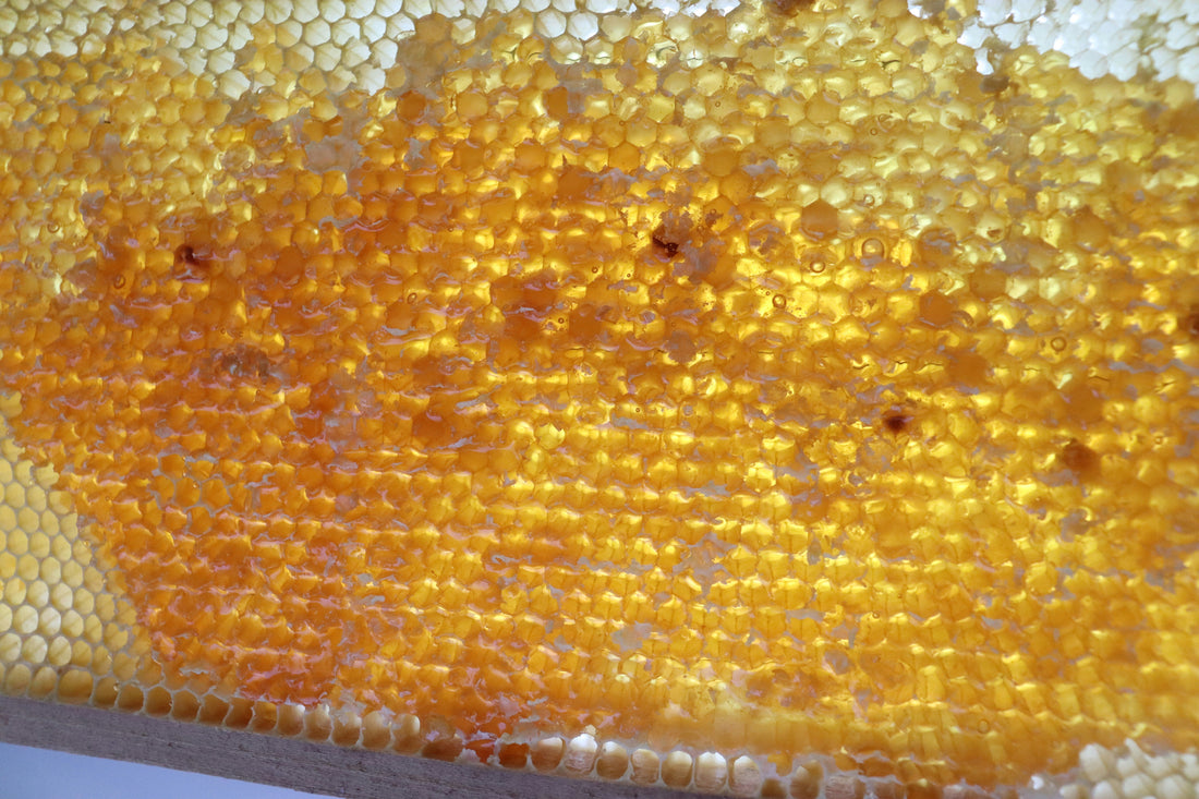 Why Americans Can’t Get Enough of Honey