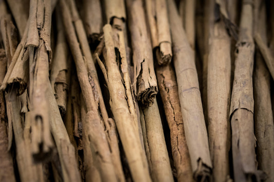Health Benefits of Ceylon Cinnamon Which Are Backed By Science