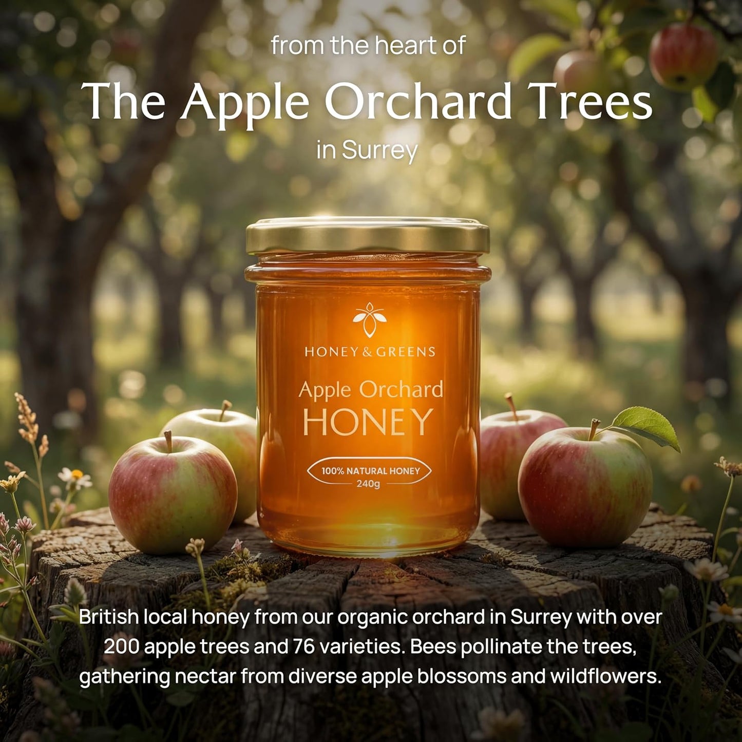 British Apple Orchard Honey 240g