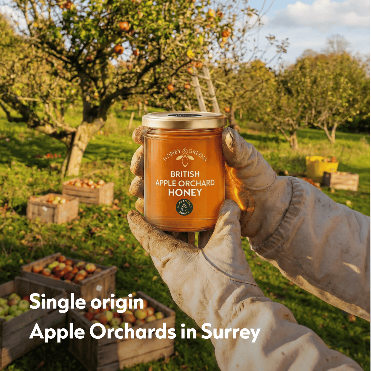 British Apple Orchard Honey 240g