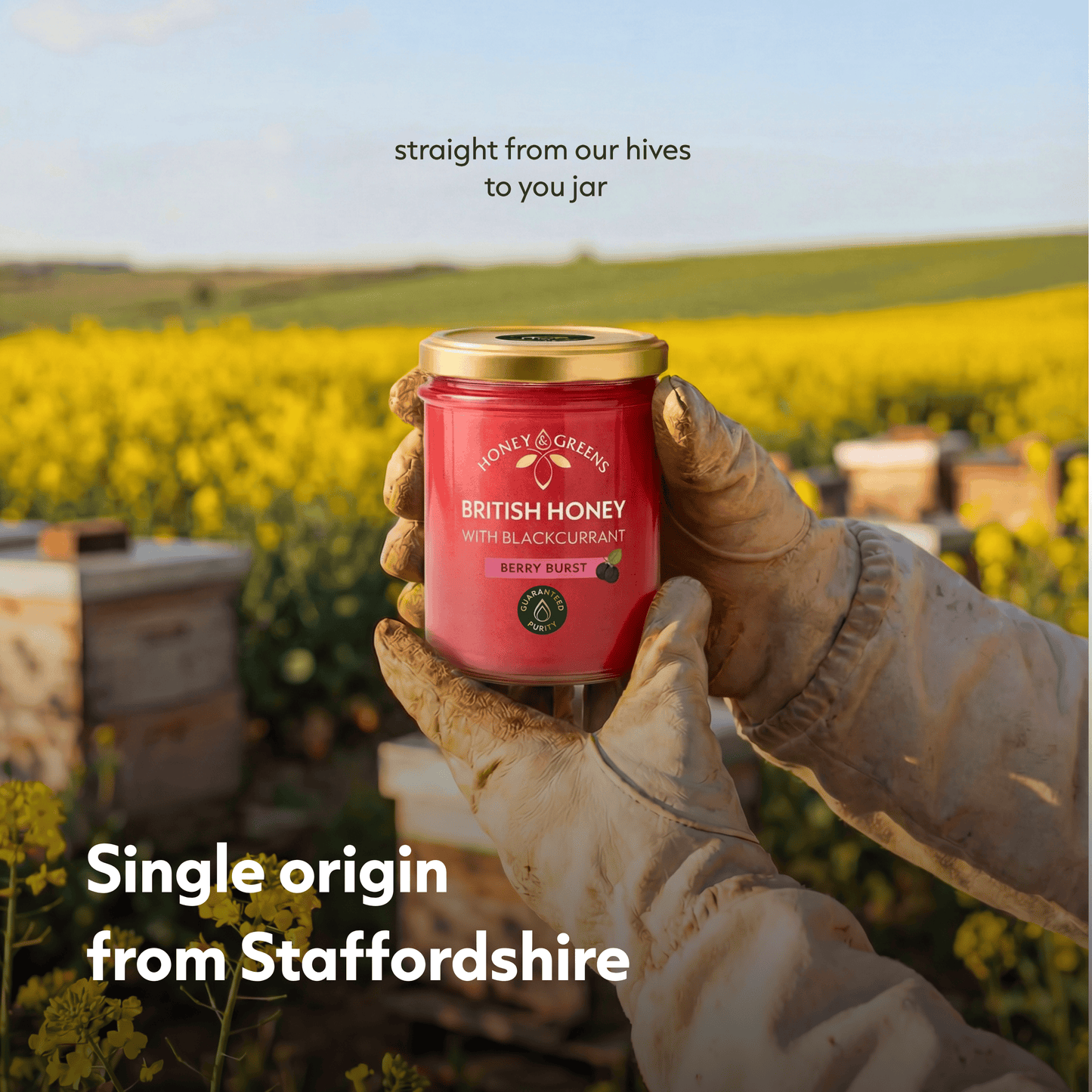 British Honey with Blackcurrant 240g