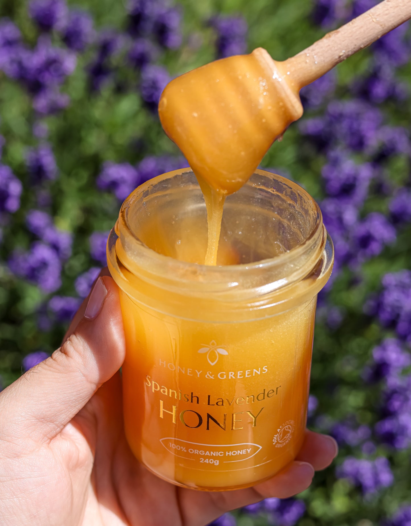 Organic Lavender Honey 240g