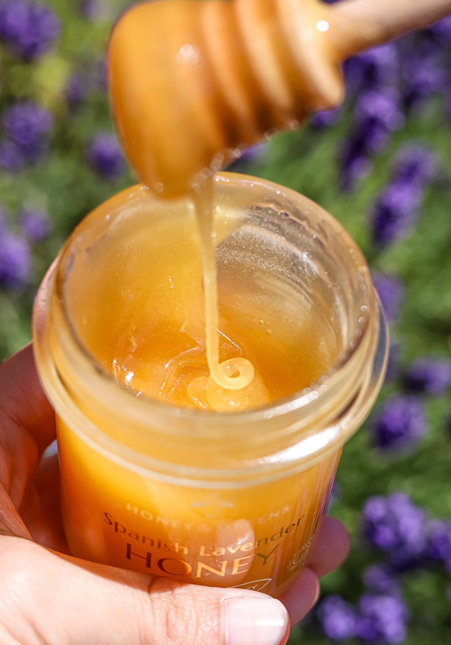 Organic Lavender Honey 240g